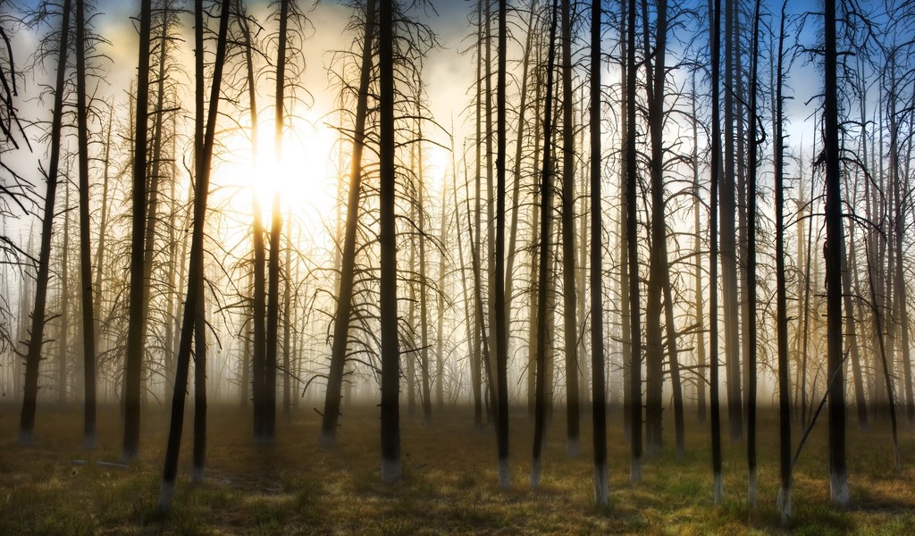 Windows Background | Free free windows background wallpaper. Windows Background | Free