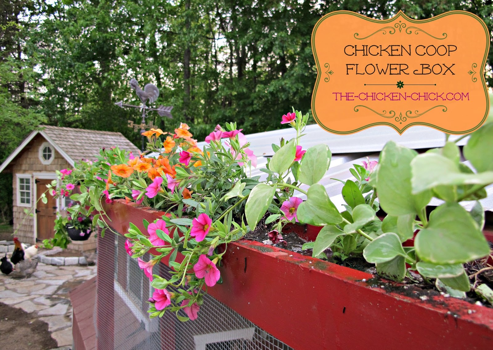 DIY Chicken Coop Flower Box The Chicken Chick®