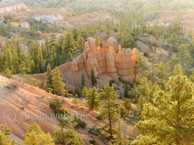 hoodoos appear to be lit up in the sunrise sunshine