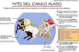 "El Carro ALADO"