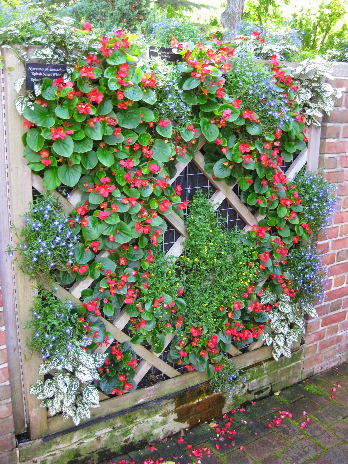 Vertical Planters Rotary Botanical Gardens