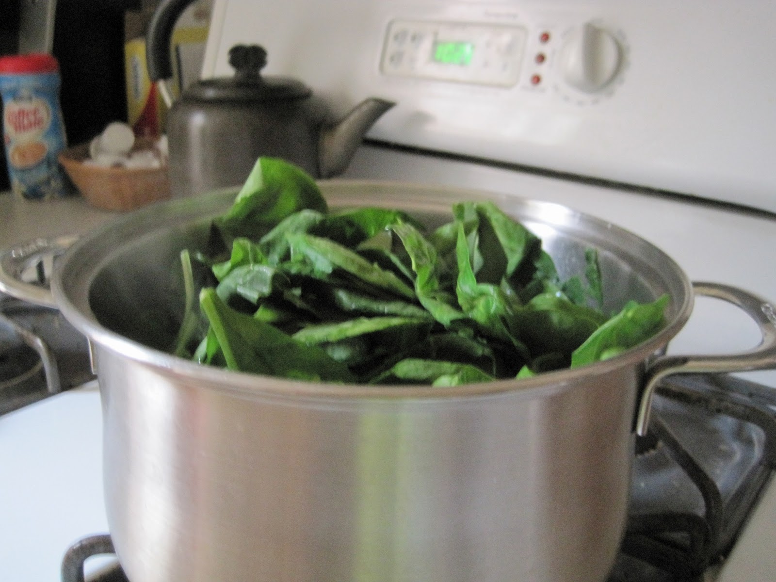 Adventures With My Oven Healthy Spinach Gratin