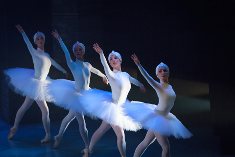 Swan Lake Ballet Music