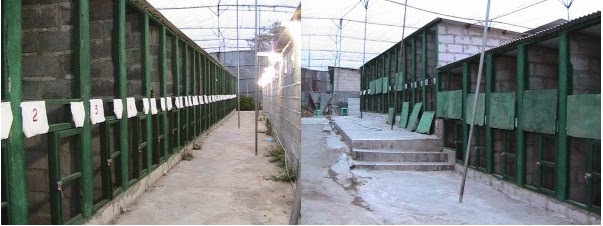 Gembala News Peternak Murai Batu Medan Ekor Panjang Terbesar Dan