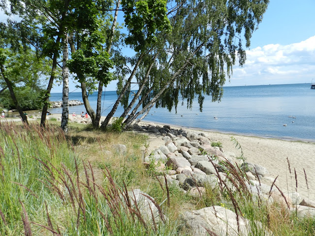 DSCN2429.JPG