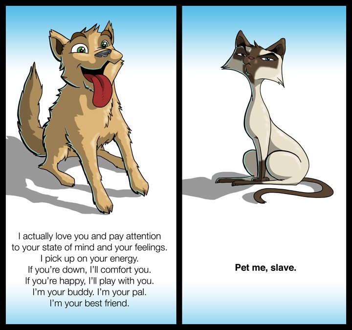 dogs_vs_cats.jpg
