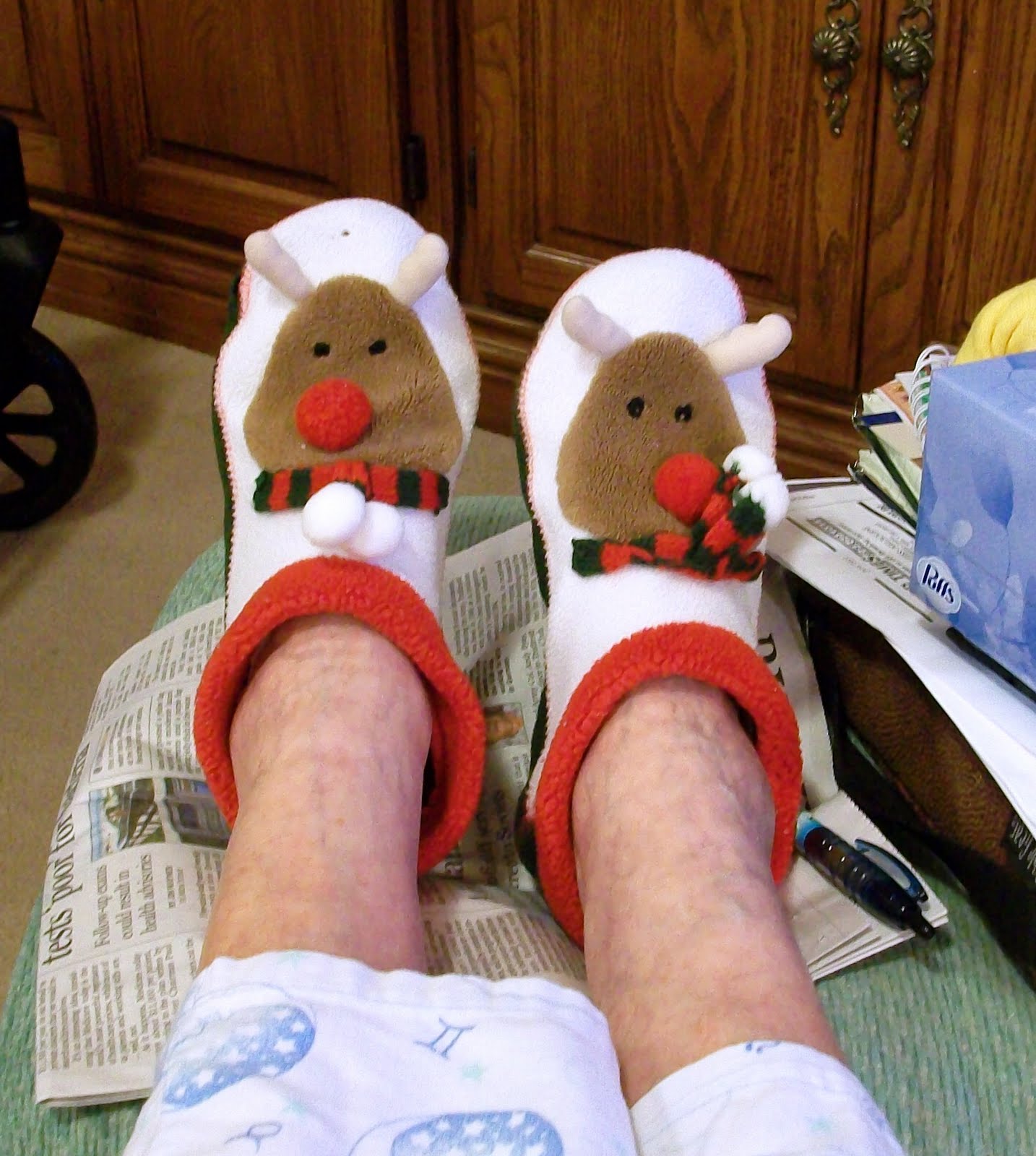 Rudolph Slippers