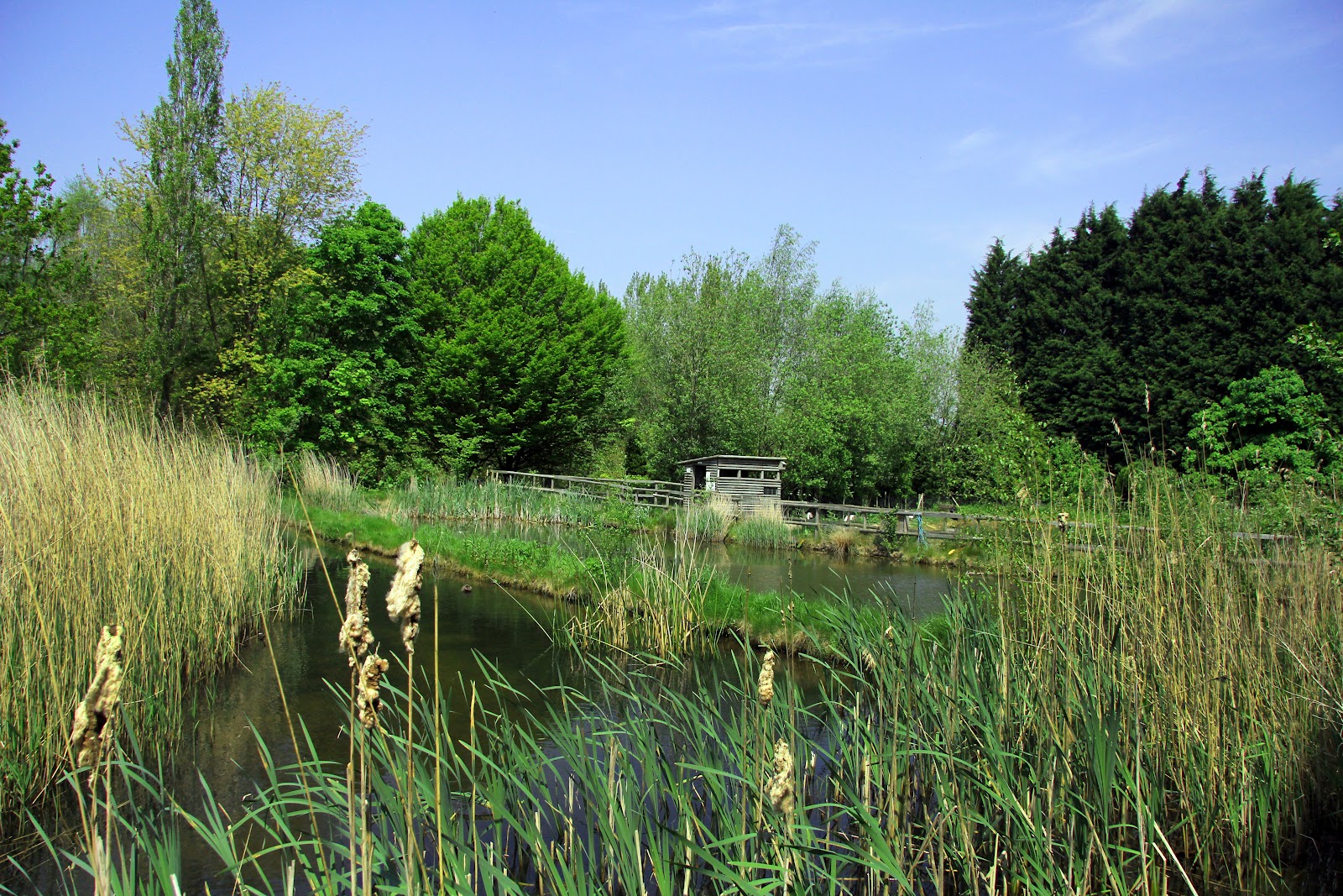 national trust location new location coolings green national trust location new location coolings green