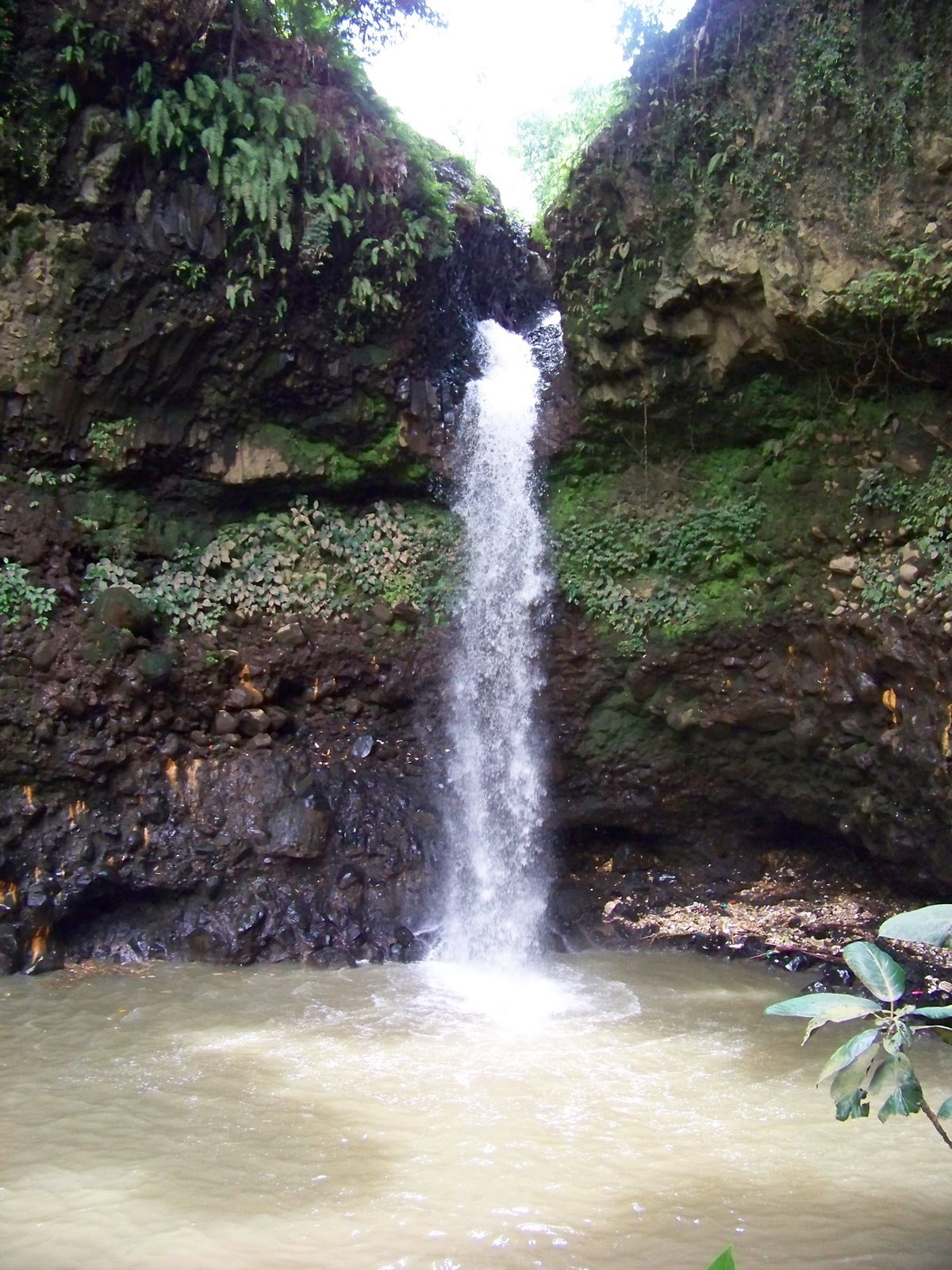 The Alien News : Alien News Holiday:Bandung