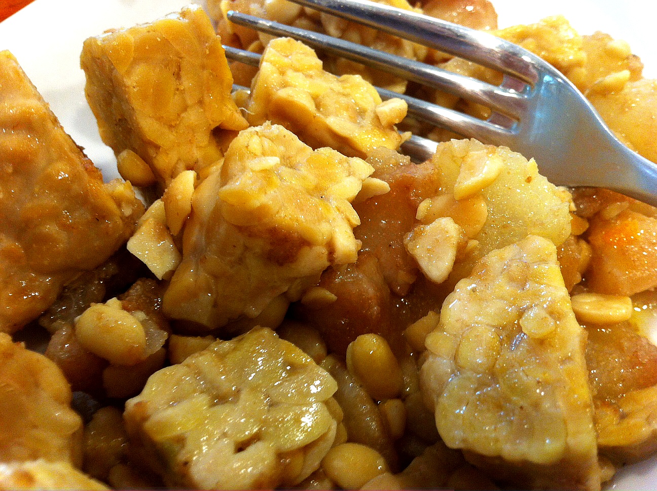 RICETTE SENZA COLESTEROLO TEMPEH ALLO ZENZERO