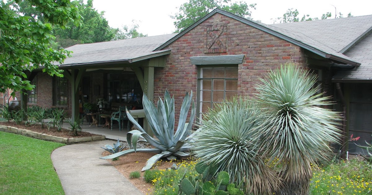 Plano Prairie Garden: Garden Conservancy's Open Days - Dallas Part 2