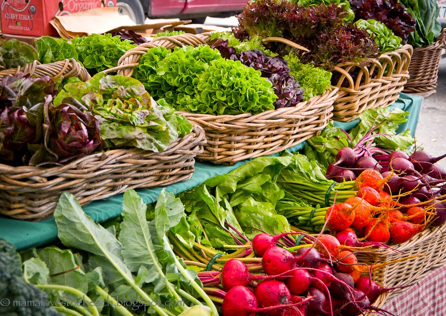 Mama Loves the Beach! The beauty and bounty of Point Reyes Station