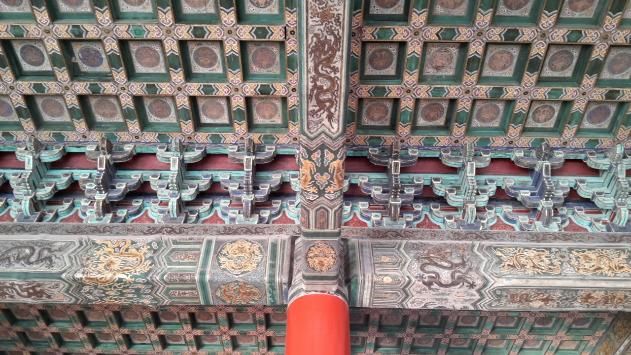 Abenteuer In Shanghai 2015