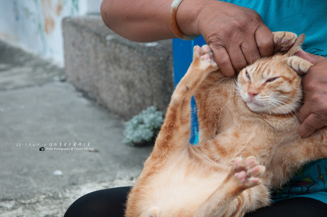 [台東] 蘭嶼三天兩夜遊記|蘭嶼自由行紀錄