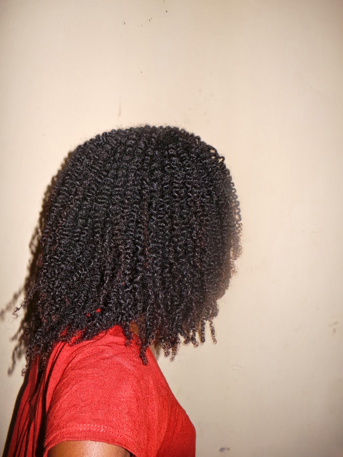 PROTECTIVE STYLING: TEN WAYS TO STYLE YOUR FINE TYPE 4 NATURAL HAIR -  nappilynigeriangirl
