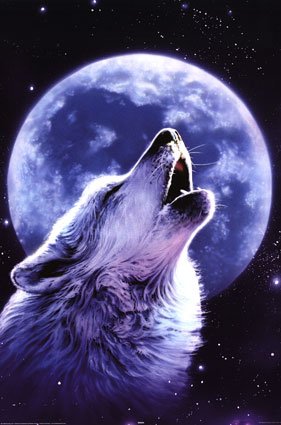 Lyric Streak: Howling Wolf