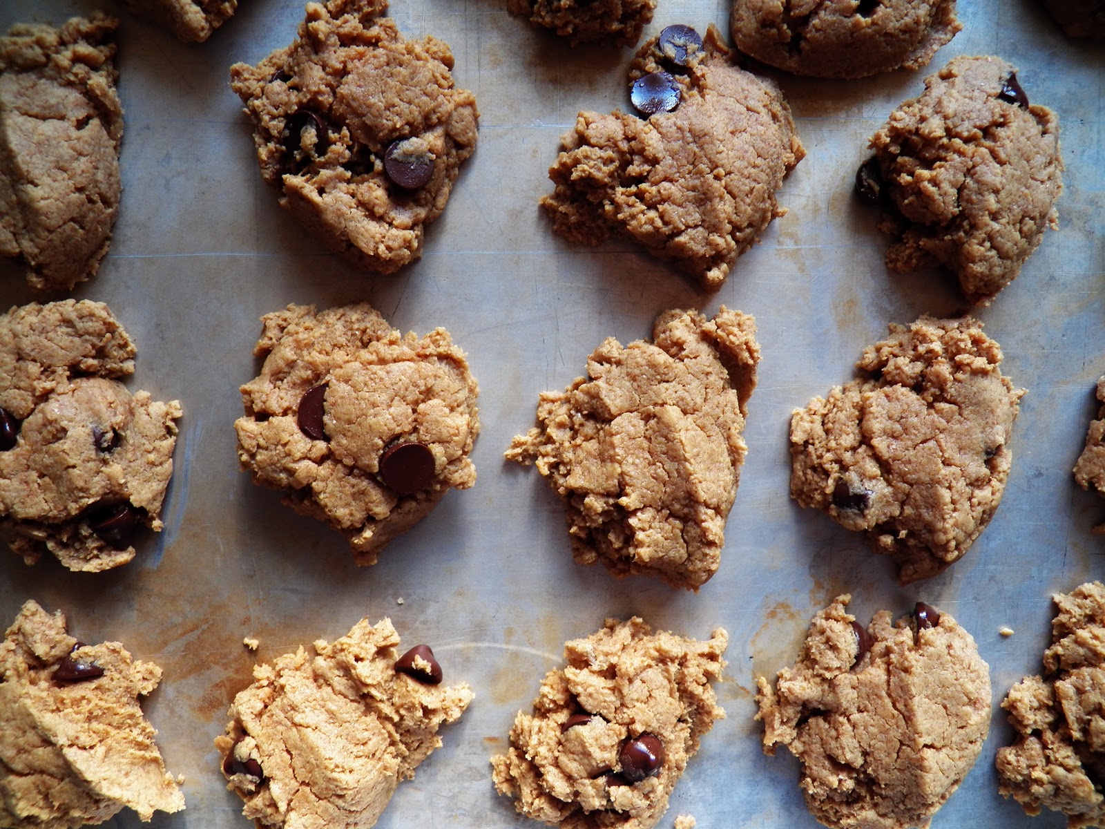 The Tasty Cheapskate Peanut Butter Breakfast Cookies (Low Sugar)