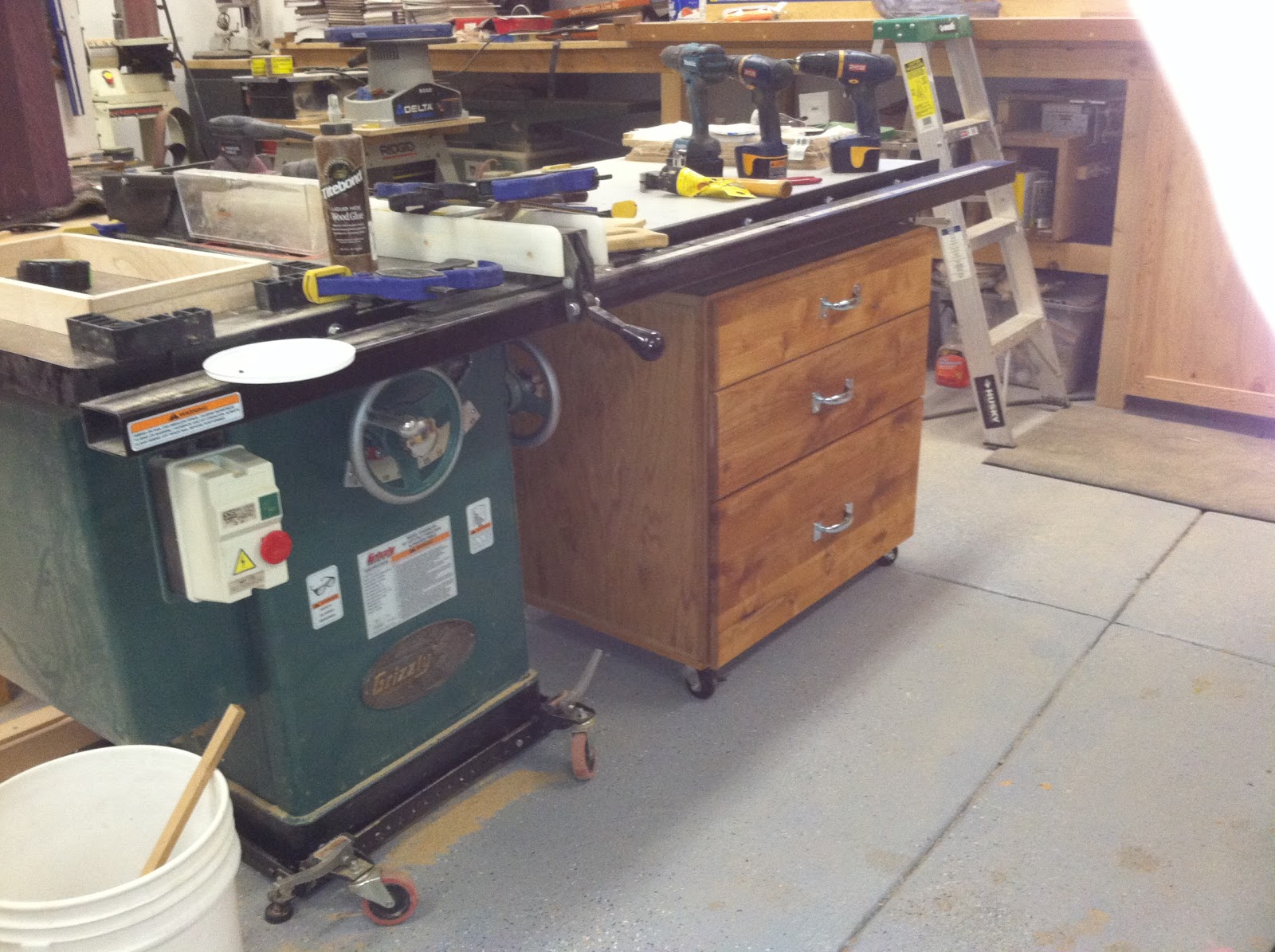 Scott and Judy Mann Storage under table saw