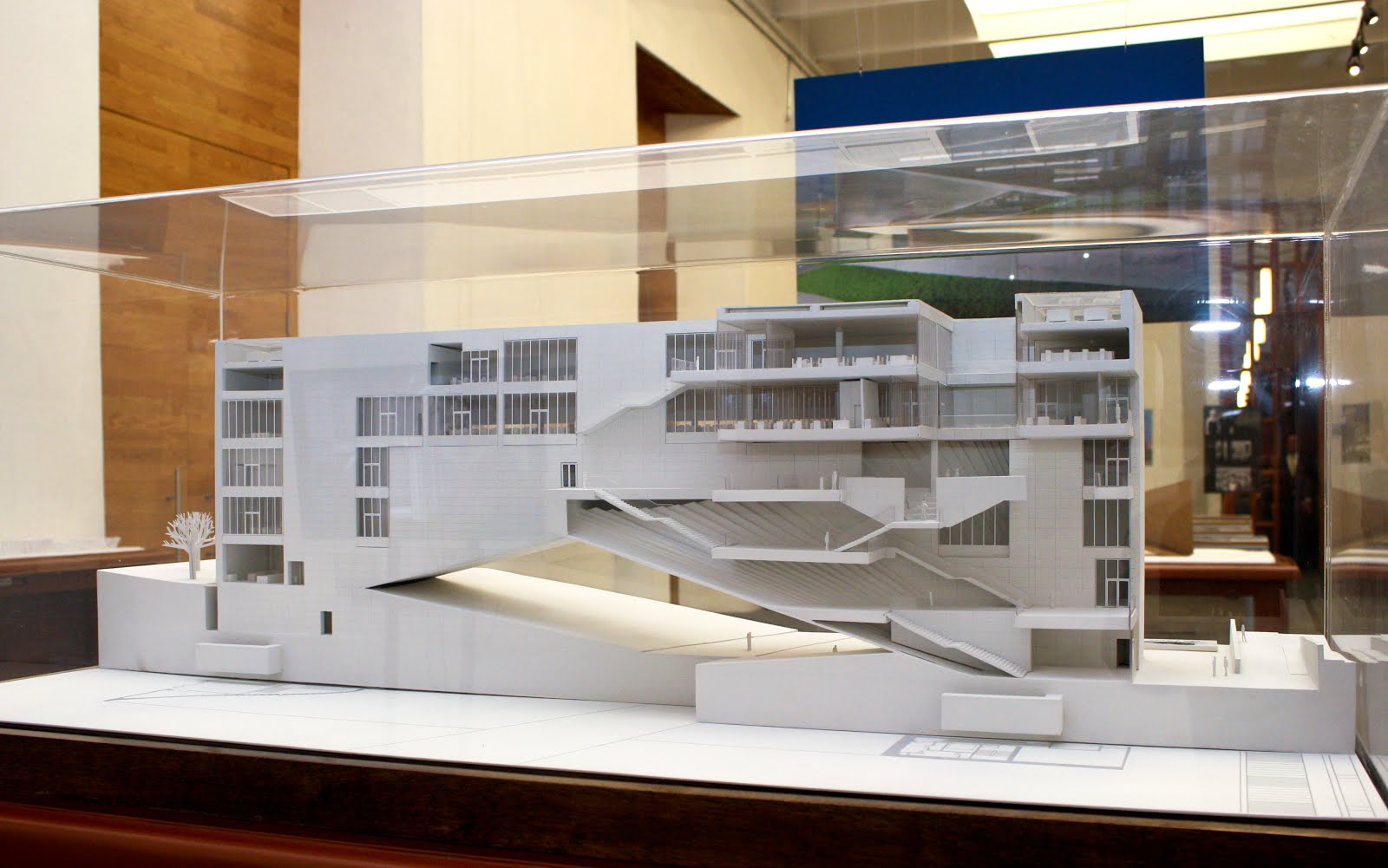 Biblioteca de méxico dÃa con dÃa: "umbral creativo" de tadao ando Design creativo recinto