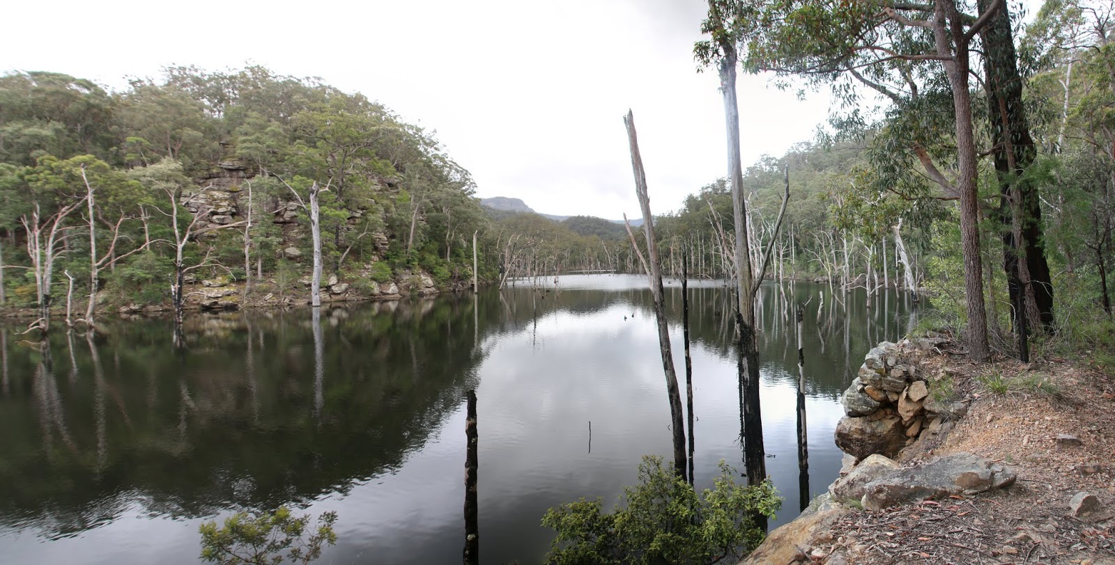 its just my life Timealong Trail / Acacia Flat