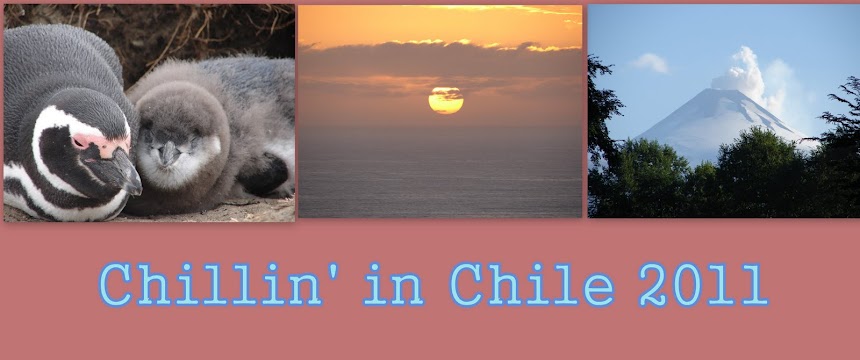 Chillin' in Chile 2011