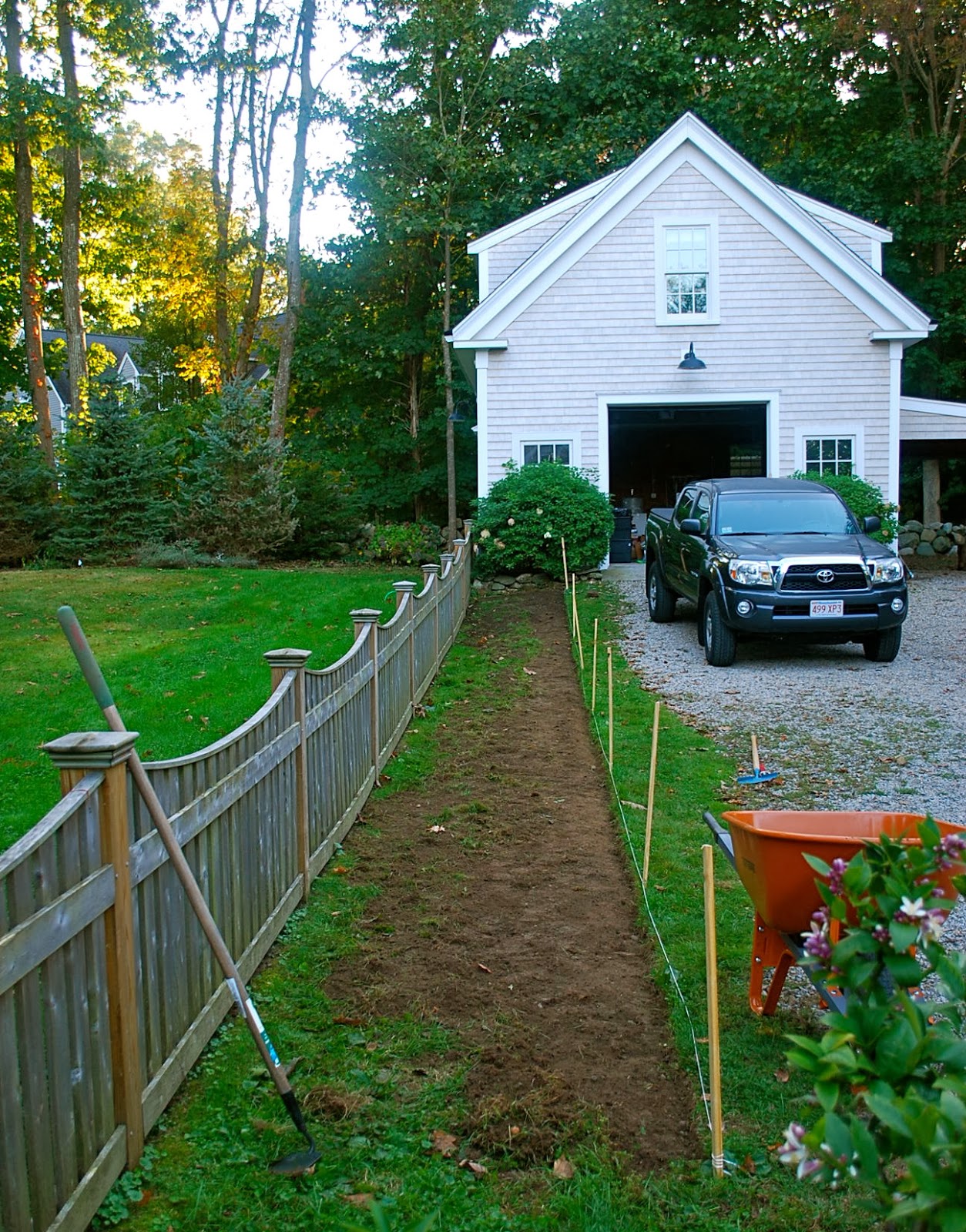 Gardentopia Mellow Yellow Spirea