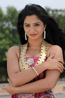 Telugu, actress, nisha, shah, latest, hot