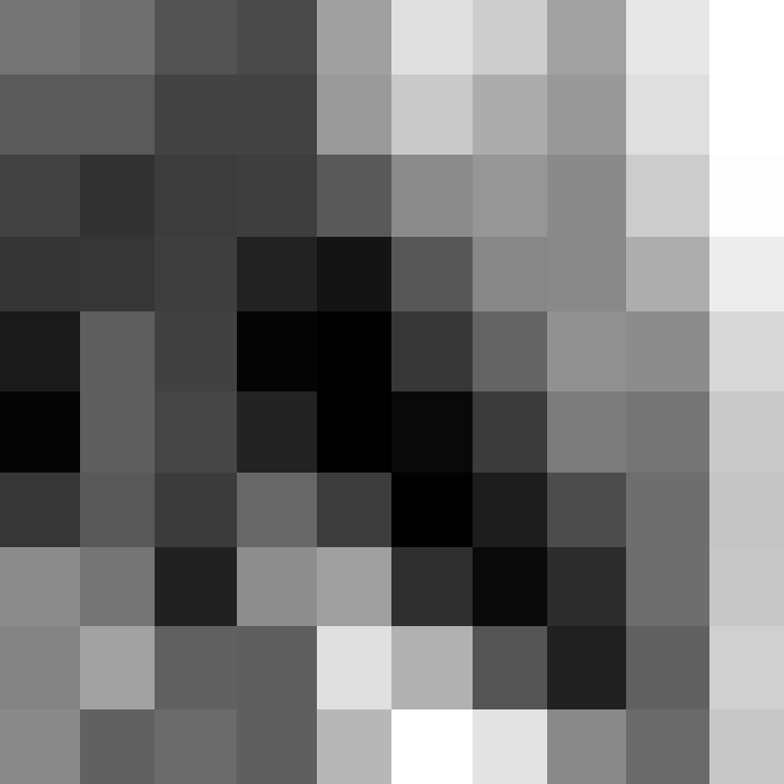 The Pixelated Image Of Life