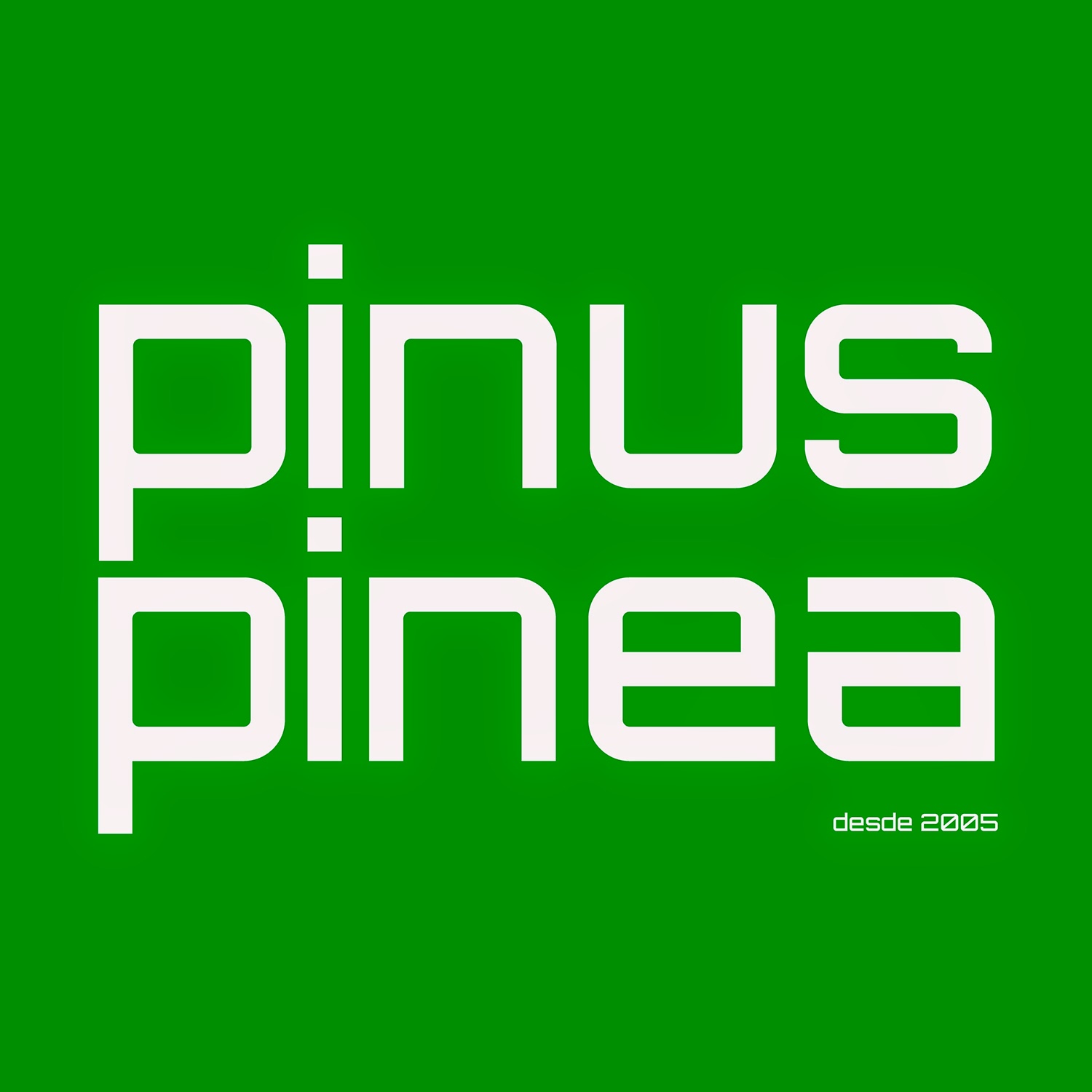 Pinus pinea - Sensibilização e Conservação da Natureza
