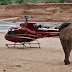 Tech for tuskers: protecting Africa’s elephants with Google