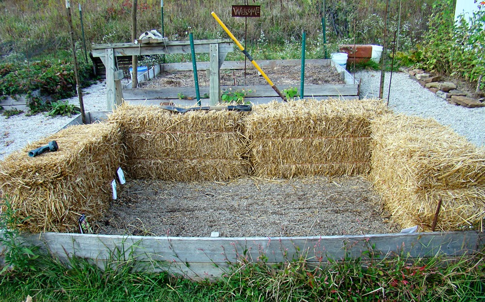 Rurification Cold Frames and Hoop Houses