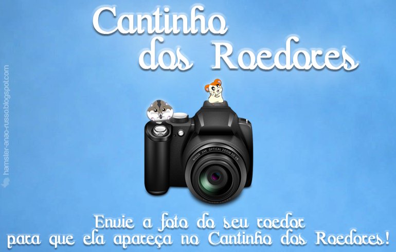 Cantinho dos Roedores!