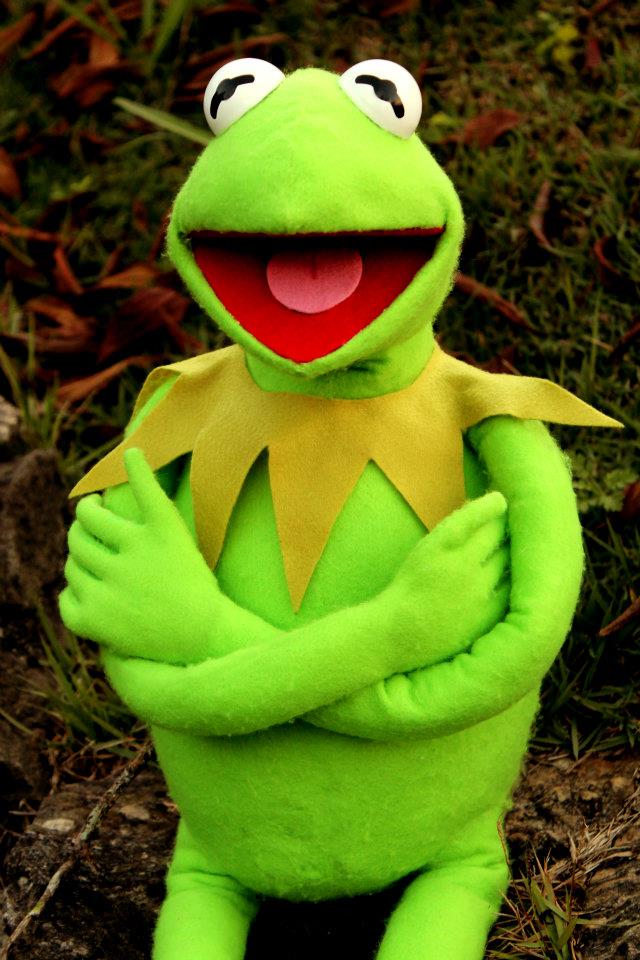 Jim Henson Muppets The Muppet Alphabet Album Jim Henson Muppets The Muppet Alphabet Album