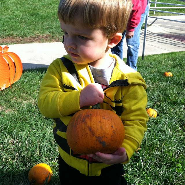 The JJ Project - A Day at the Pumpkin Farm
