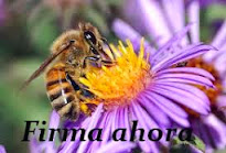 Nuestras abejas en peligro