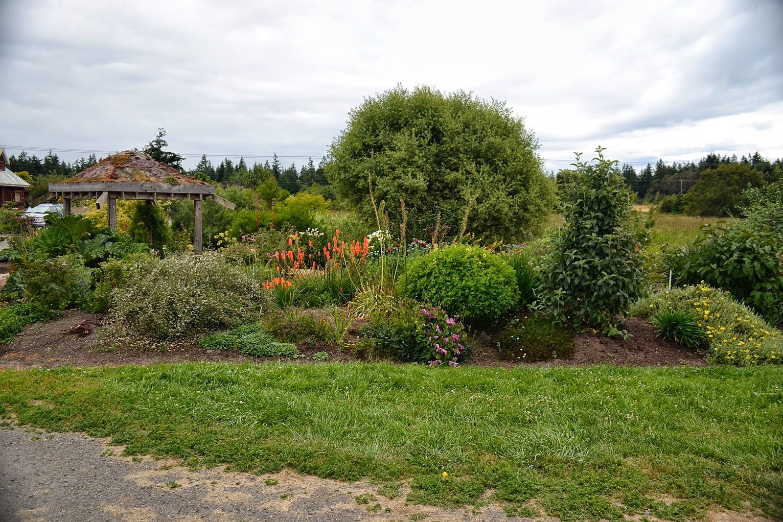 Mini Canvas Cheery Lynn Designs Inspiration Blog