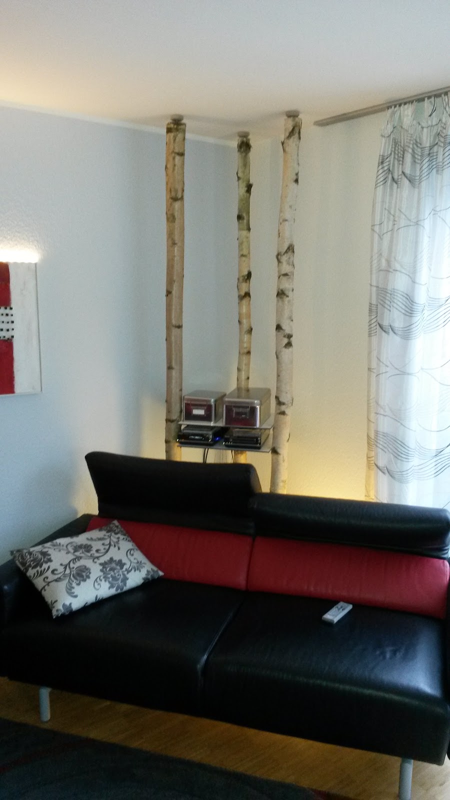 Rudi\'s Freizeitbeschäftigungen: Birke im Wohnzimmer Rudi\'s Freizeitbeschäftigungen: Birke im Wohnzimmer