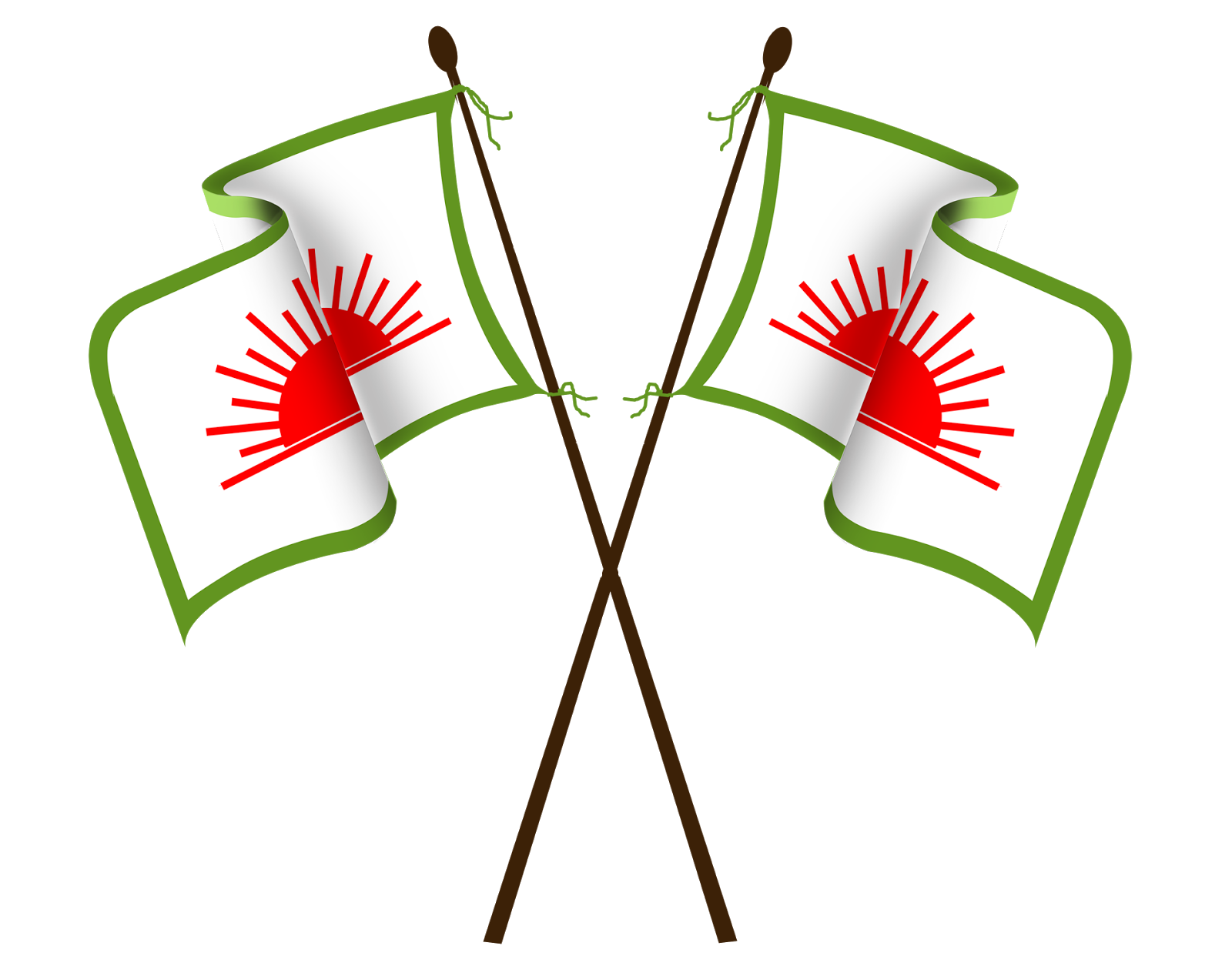 pdp kerala flage saleem design