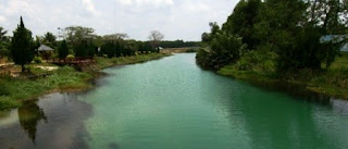 Setangkai Rambai dalam Mimpi Anak Sungai