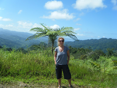 Fijian countryside