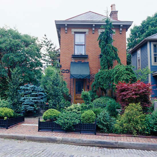 front yard landscaping evergreens