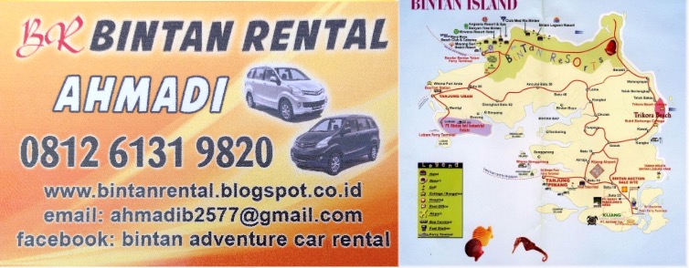 Rental mobil murah tanjung uban