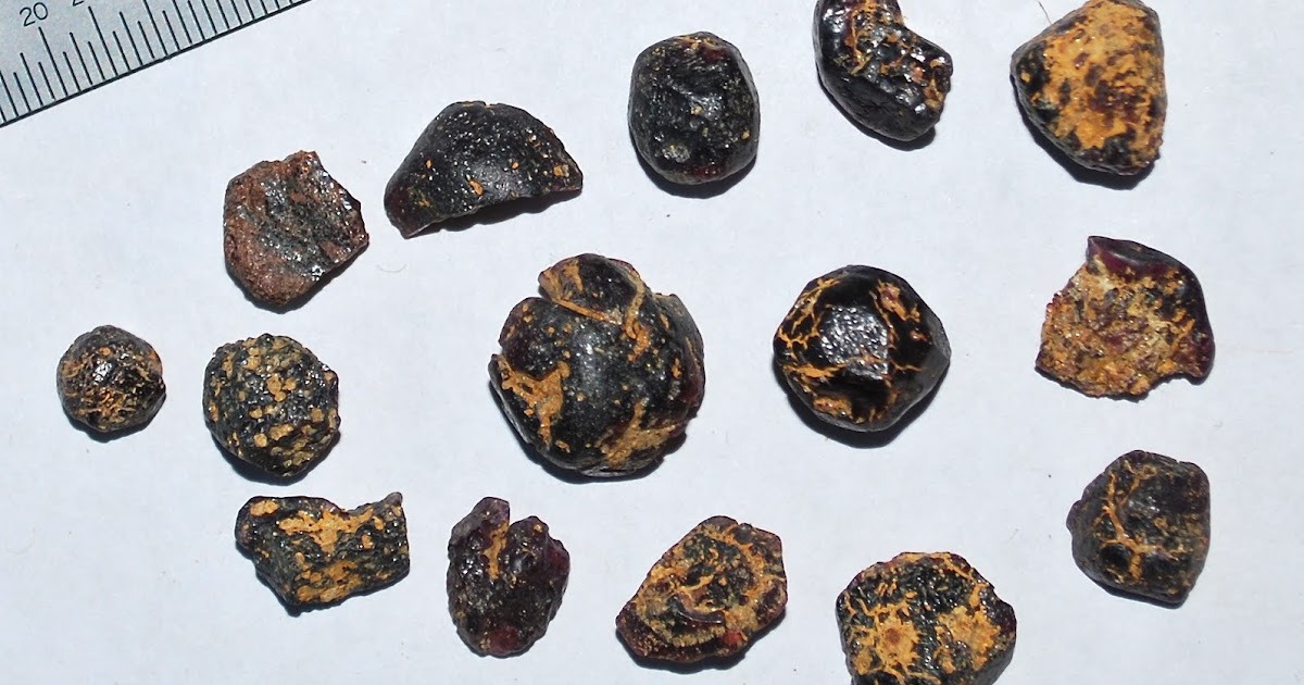 Chasing the Stars Mining for star in Idaho