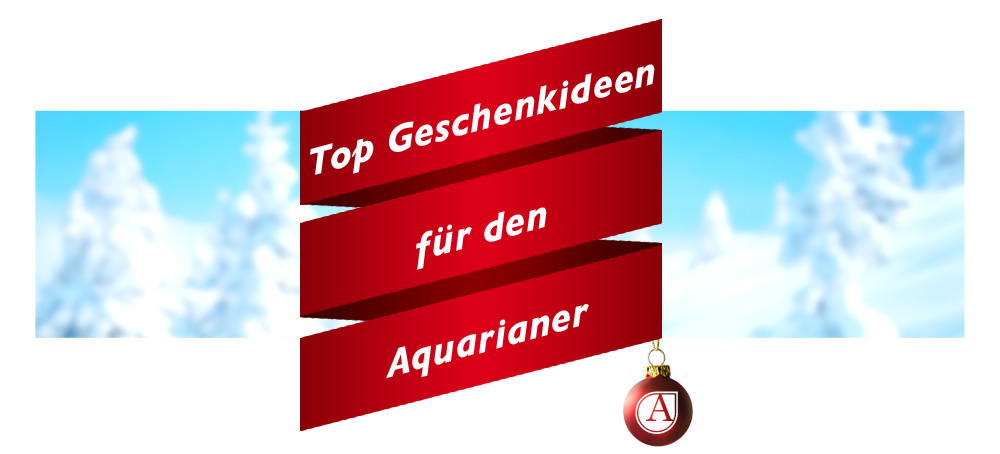 Geschenkideen Fur Kinder Ab 6 Jahren Eltern Vom Mars