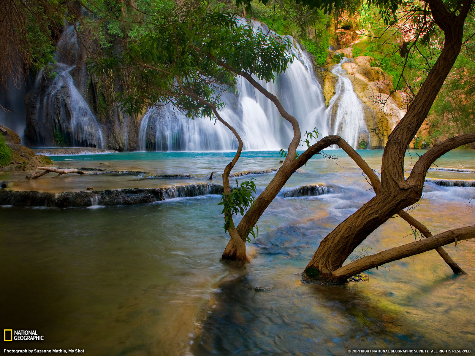 http://2.bp.blogspot.com/-lOamM-tAZ5M/UMtJESwjPII/AAAAAAAADOE/R45K0SAtmaM/s1600/National%20Geographic%20HD%20Wallpapers%2077.jpg