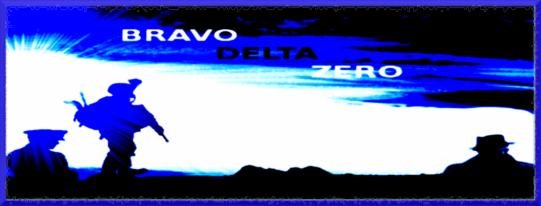 Bravo Delta Zero