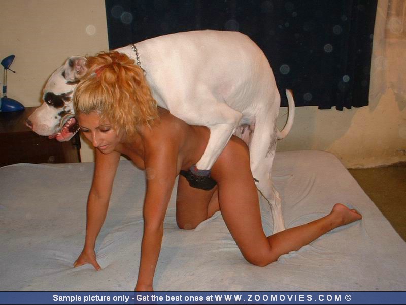 Dog fuck female | TubeZZZ Porn Photos