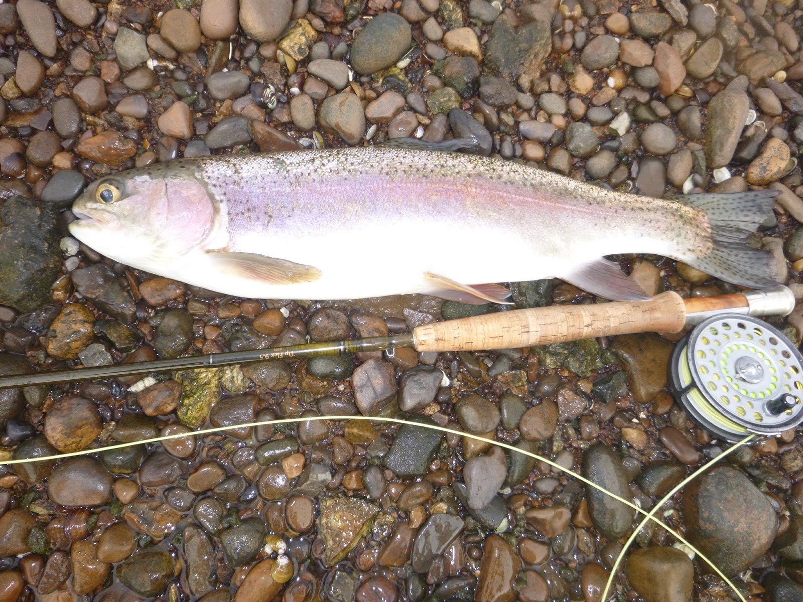 Fly Fishing Class and Tutoring