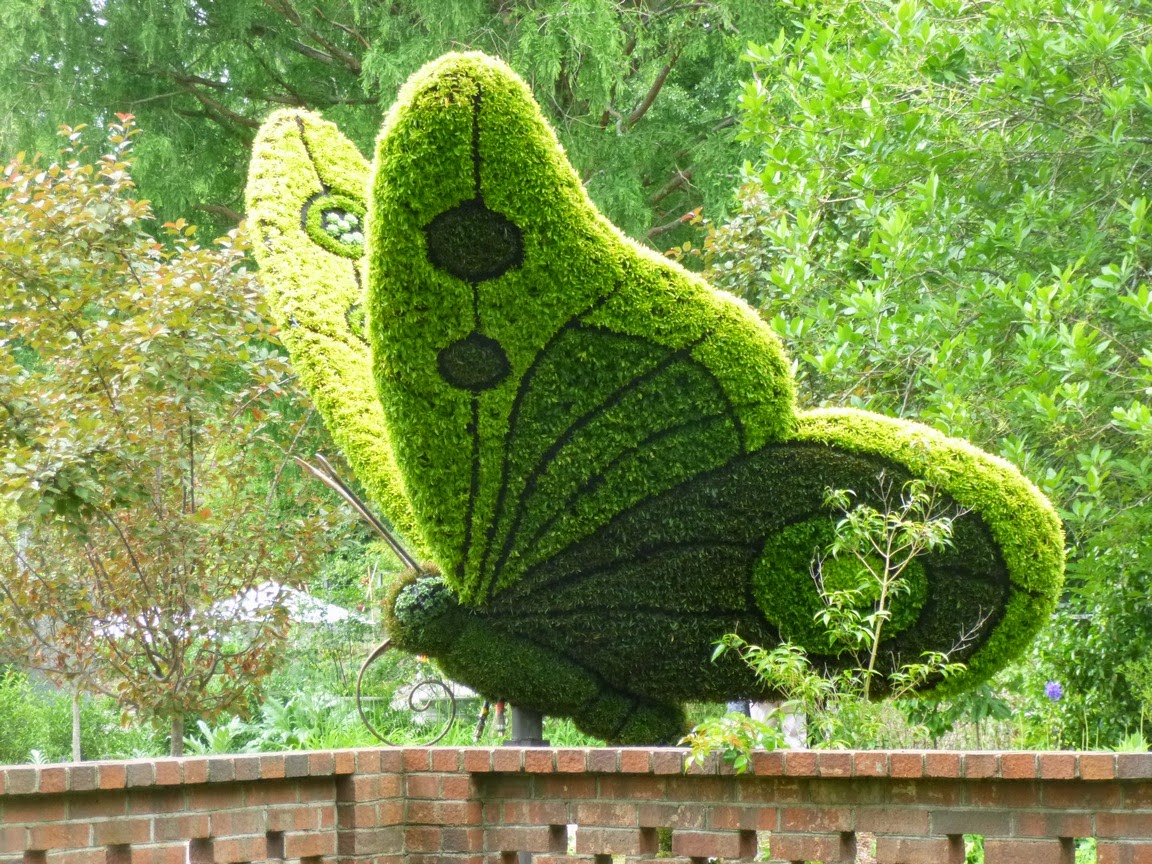 Imaginary Worlds butterfly @ Atlanta Botanical Garden