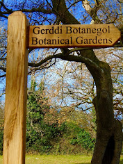 Raising the Profile of The Botanic Gardens